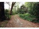 318 Forest Road, The Basin VIC 3154