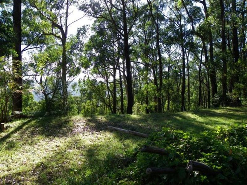 6 Janesdell Avenue, Ferny Creek VIC 3786