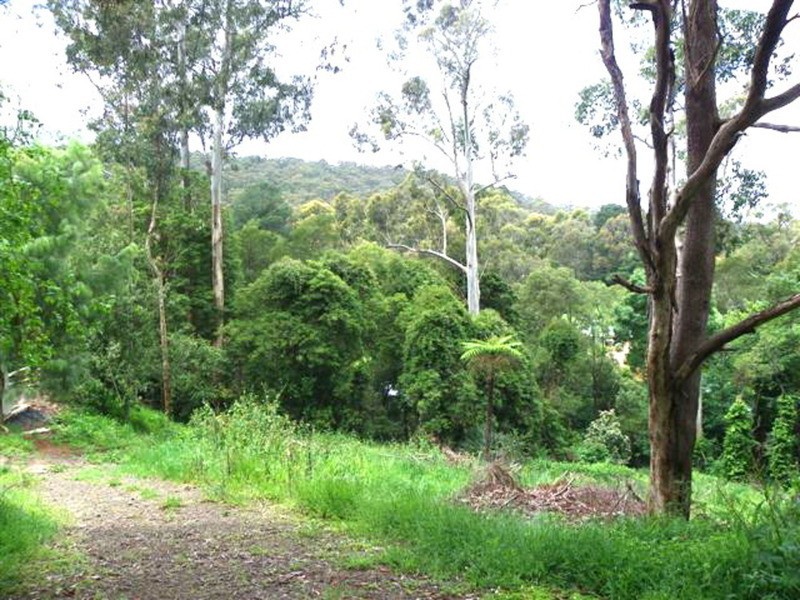 10 Pauline Avenue, Tecoma VIC 3160