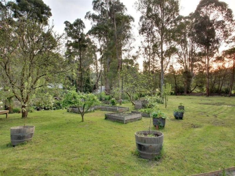 53 Park Drive, Belgrave VIC 3160