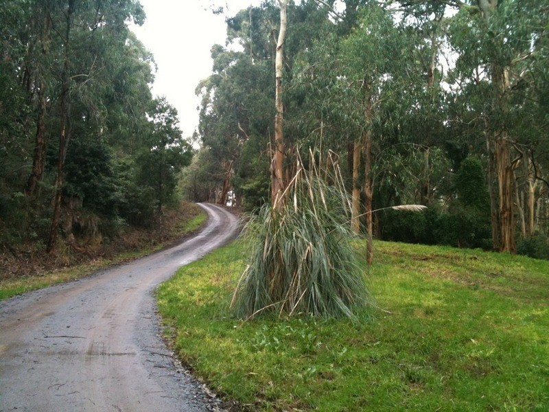 25 Aura Vale Road, Menzies Creek VIC 3159
