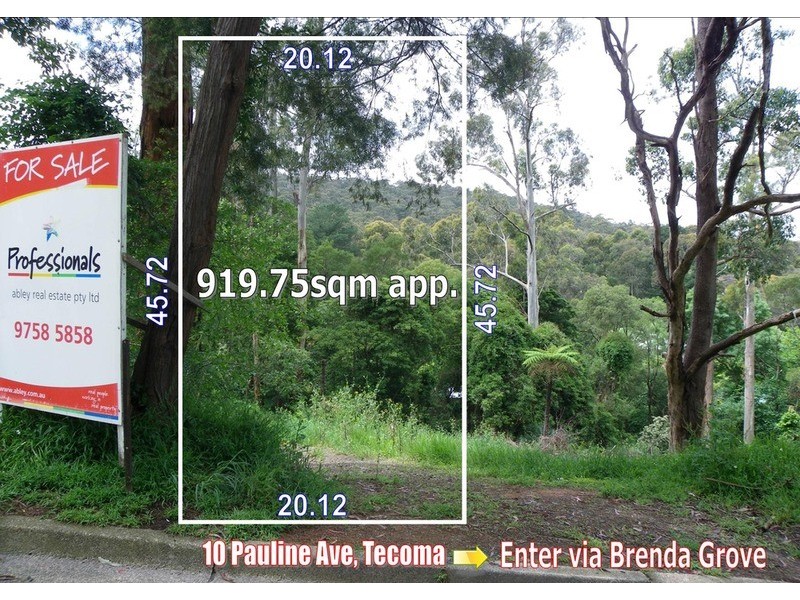 10 Pauline Avenue, Tecoma VIC 3160