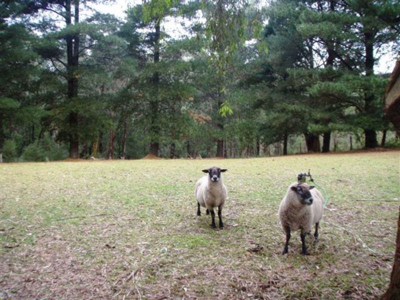 25c Aura Vale Road, Narre Warren East VIC 3804