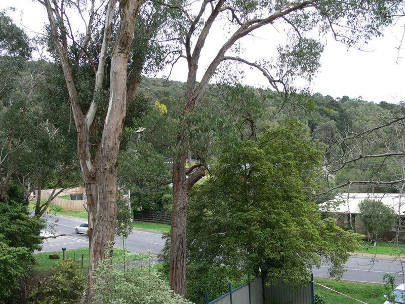 69 Old Belgrave Road, Upper Ferntree Gully VIC 3156