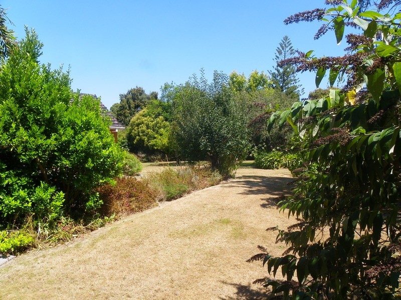 16 Allison  Court, Vermont VIC 3133