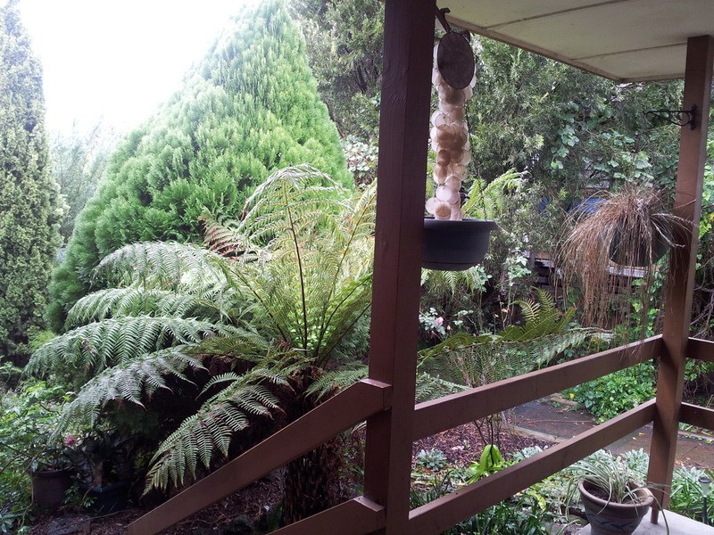66 Glenfern  Road, Ferntree Gully VIC 3156