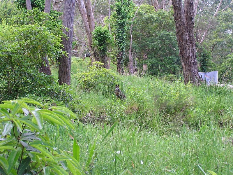 27 Heath  Avenue, Ferntree Gully VIC 3156