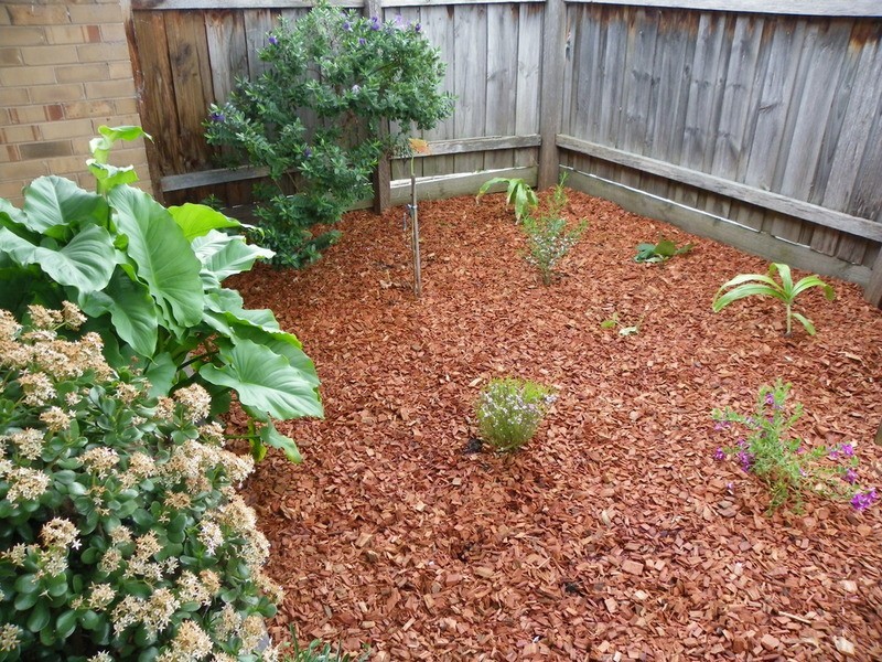 2/3 Wallace Avenue, Bayswater VIC 3153