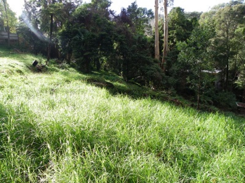 12 Pauline Avenue, Tecoma VIC 3160