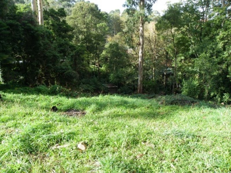 12 Pauline Avenue, Tecoma VIC 3160