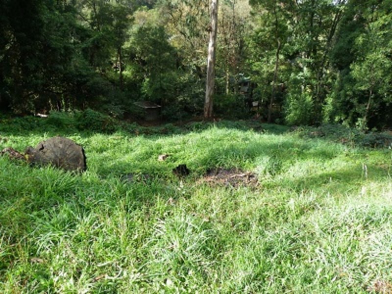 12 Pauline Avenue, Tecoma VIC 3160