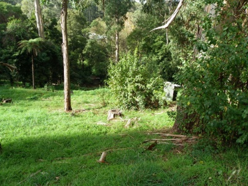 12 Pauline Avenue, Tecoma VIC 3160