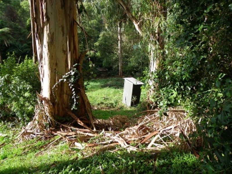 12 Pauline Avenue, Tecoma VIC 3160