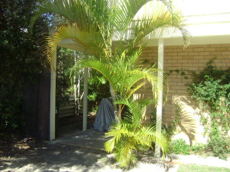 2/5 Stanhill Drive, Chevron Island QLD 4217