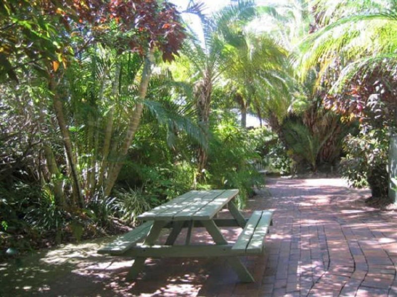 Alexander 2943 43           Gold Coast Highway, Surfers Paradise QLD 4217