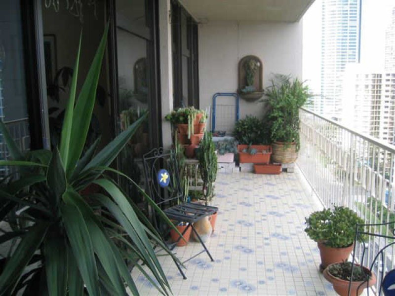 Alexander 2943 43           Gold Coast Highway, Surfers Paradise QLD 4217