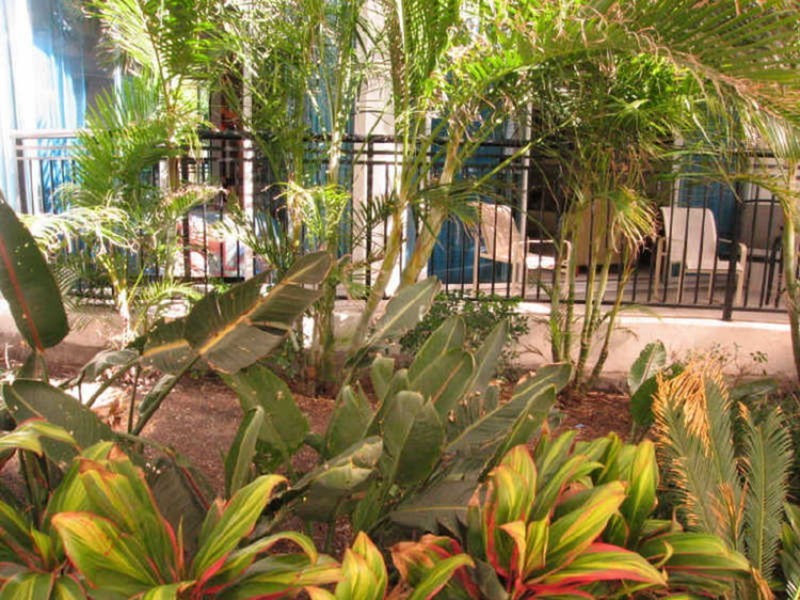 23 Ferny Avenue, Surfers Paradise QLD 4217