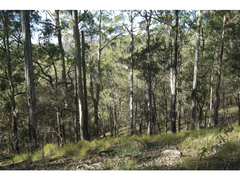 262 Macdonnell Road, Eagle Heights QLD 4271