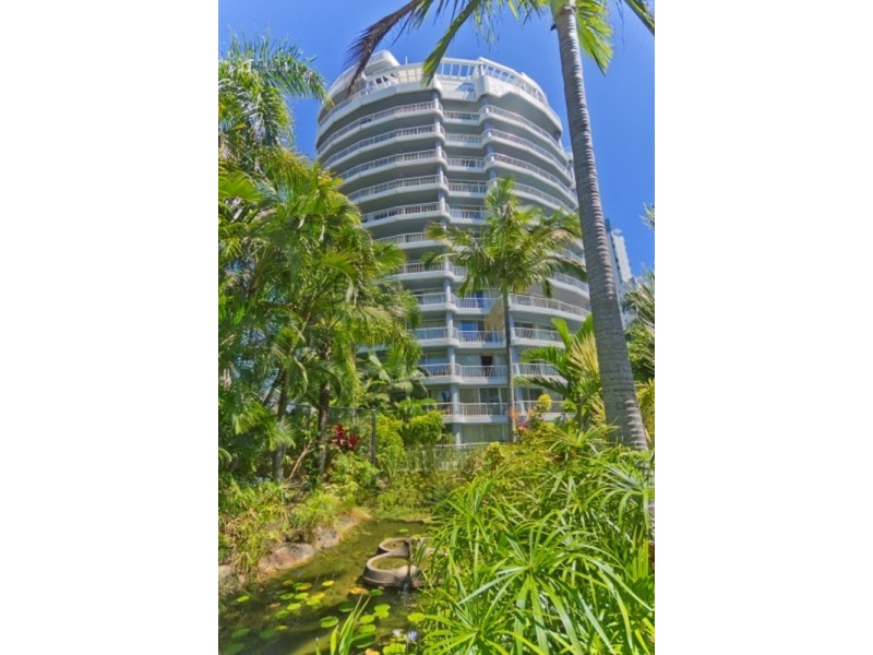 41/19 Riverview Parade, Surfers Paradise QLD 4217
