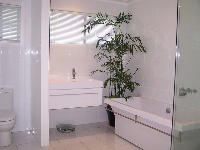 Isle Of Capri QLD 4217