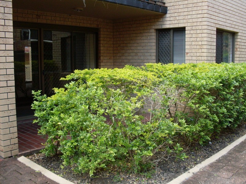 2/13 Stanhill  Drive, Surfers Paradise QLD 4217