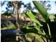 168 Whiting Street, Labrador QLD 4215
