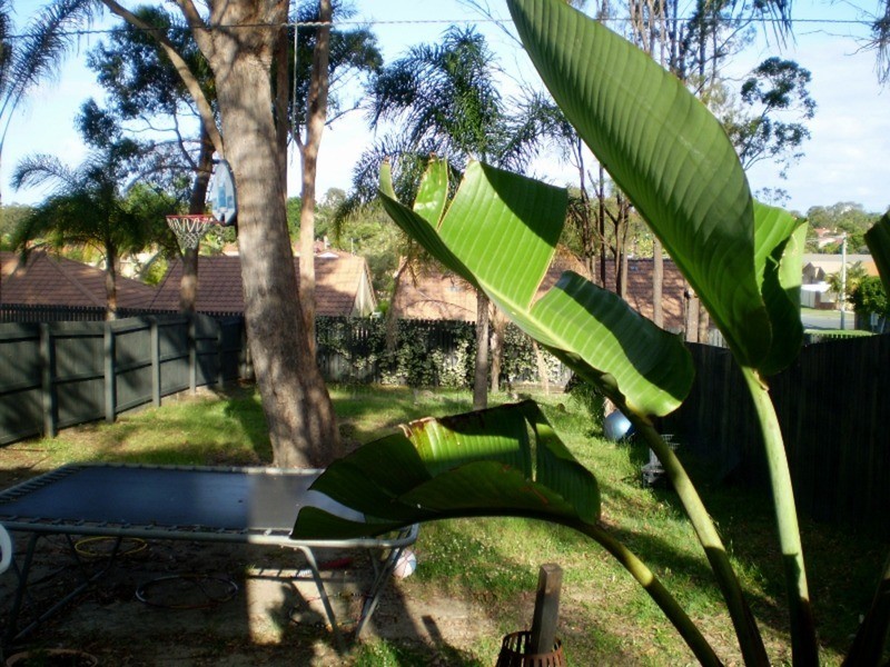 168 Whiting Street, Labrador QLD 4215