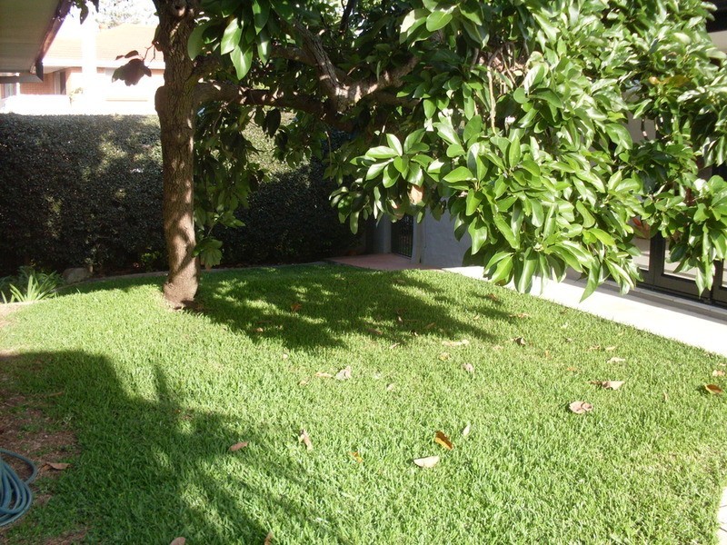 10 St Pauls Place, Isle Of Capri QLD 4217