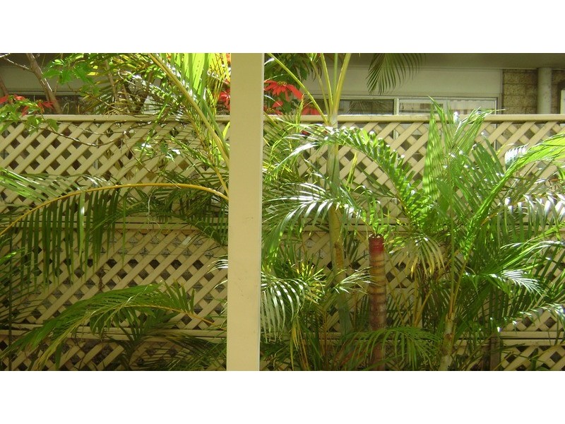 2/5 Stanhill Drive, Chevron Island QLD 4217