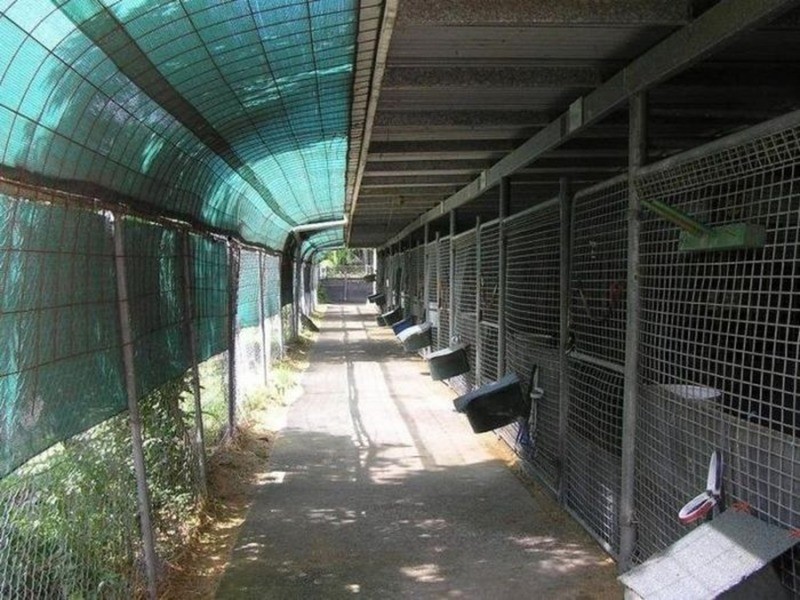 7 Waterford  Court, Bundall QLD 4217