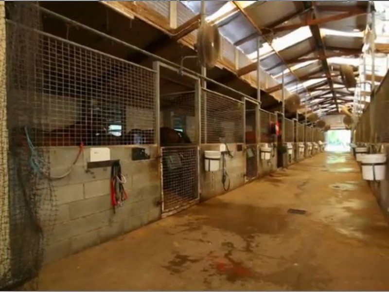 7 Waterford  Court, Bundall QLD 4217