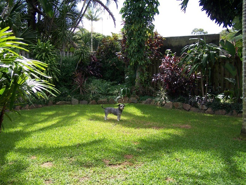 9 Raymond Avenue, Bundall QLD 4217