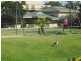 Focus/114 The Esplanade, Surfers Paradise QLD 4217