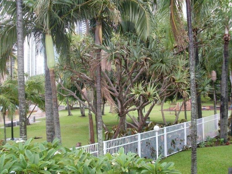 40A Watson Esplanade, Surfers Paradise QLD 4217