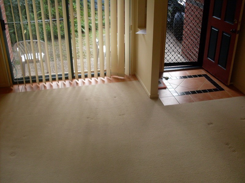 118 Ridgeway Avenue, Southport QLD 4215