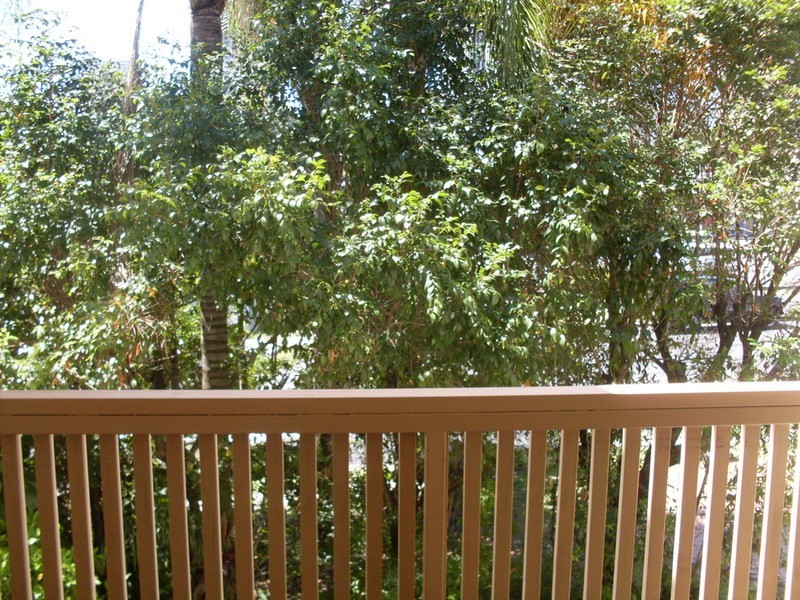 26  Palm  Avenue, Surfers Paradise QLD 4217