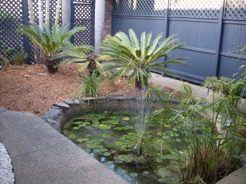 5 La Scala Court, Isle Of Capri QLD 4217
