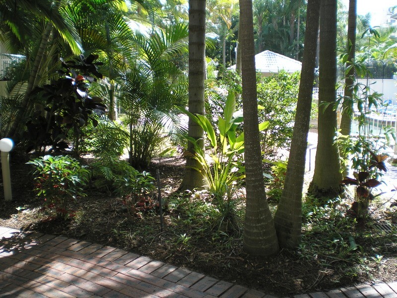 27 Wharf Road, Surfers Paradise QLD 4217
