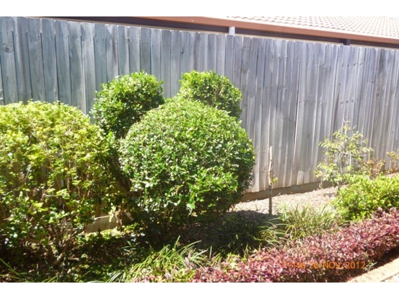 33 Sugargum Court, Molendinar QLD 4214