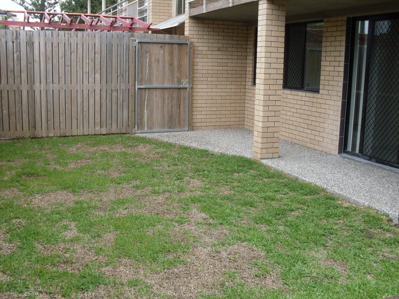3/5 Sunset  Boulevard, Surfers Paradise QLD 4217