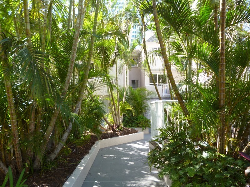 25 Markwell Avenue, Surfers Paradise QLD 4217