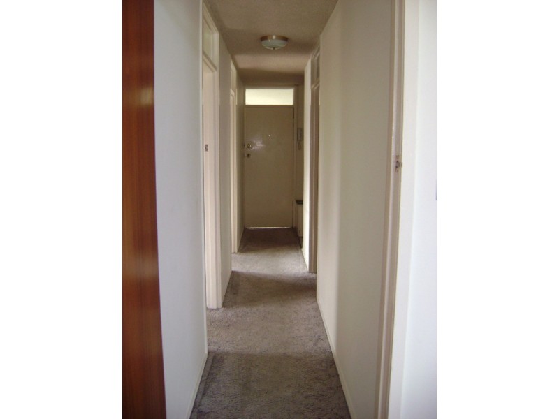 43 Garfield Terrace, Surfers Paradise QLD 4217