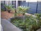 5 La Scala Court, Isle Of Capri QLD 4217