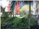 67 Ferny Avenue, Surfers Paradise QLD 4217