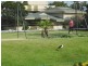 83 “Focus’/114 The Esplanade, Surfers Paradise QLD 4217