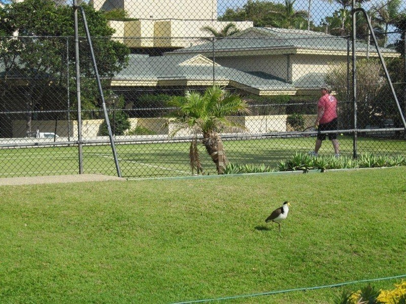 83 “Focus’/114 The Esplanade, Surfers Paradise QLD 4217