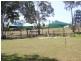 3 Tibor  Court, Ashmore QLD 4214
