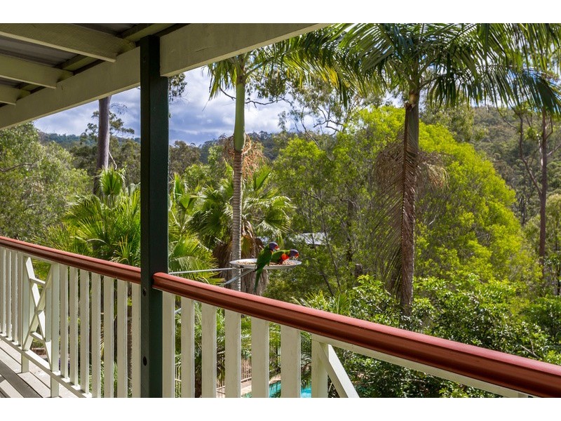 6 Pademelon Pass, Nerang QLD 4211