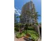 15 ‘The Moorings’/63 Cavill Avenue, Surfers Paradise QLD 4217