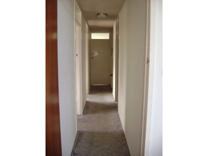 43 Garfield Terrace, Surfers Paradise QLD 4217